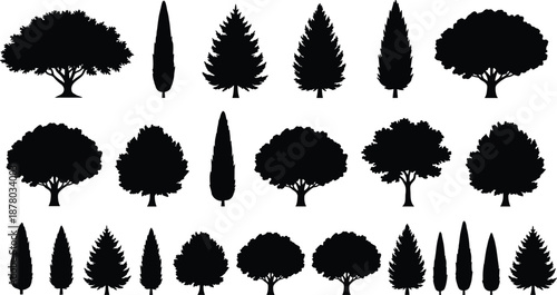 Tree silhouettes collection, different forest trees shapes, nature plant botanical elements, deciduous conifer trees, black isolated illustration set