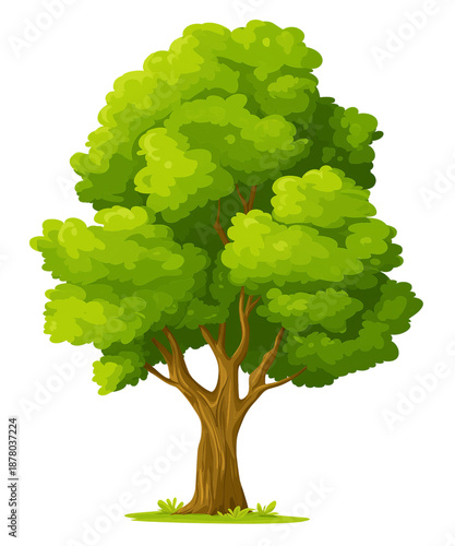 A cartoon illustration of a deciduous tree with a thick brown trunk and vibrant green foliage isolated on a transparent background