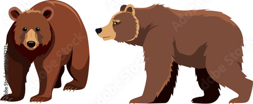 Set of Wild Brown Bear front and side view
