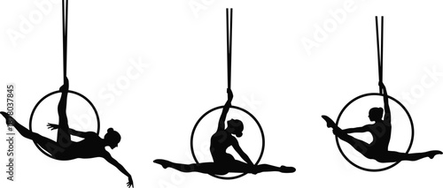 Silhouettes of aerial hoop performers suspended mid-air, showcasing acrobatic strength, flexibility, and graceful movement in circus artistry.