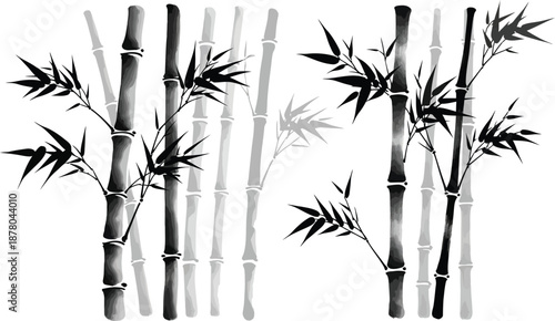 Monochrome painting style bamboo stalks with detailed leaves representing calm asian nature and oriental garden scenery