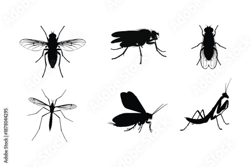 Set of insect vector silhouettes isolated on white background.