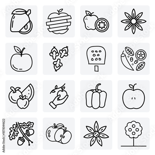 Hand-Sketched Fruits, Vegetables, And Spices – Dragon Fruit, Plum, Leek, And Jalapeño For Unique Culinary Designs