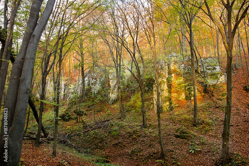 Autumn landscape with picturesque rocks in the forest. Nature of Poland