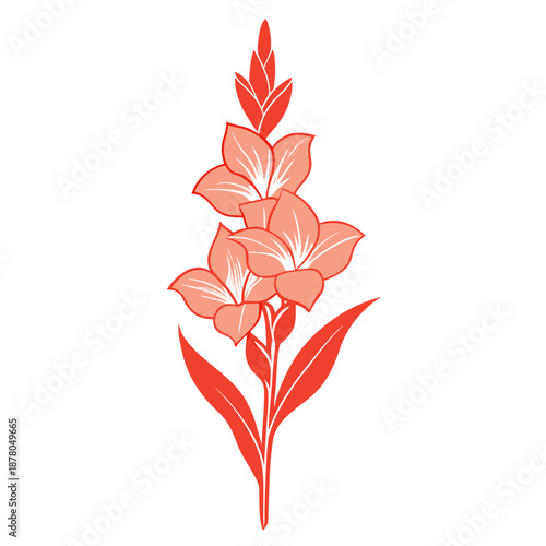 glamorous gladiolus line art on white background 