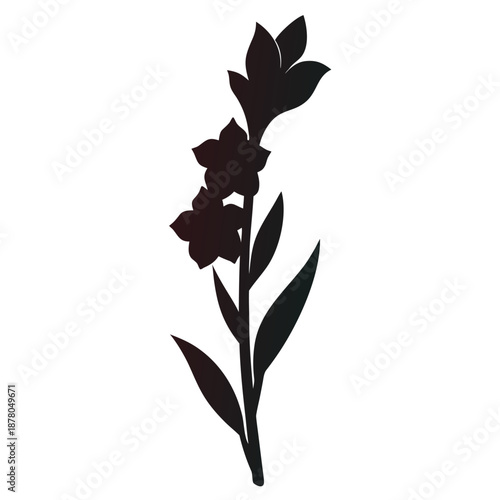 glamorous gladiolus vector silhouette on white background 