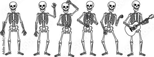Human Skeleton Illustration Set, Cartoon Bone Characters, Dancing and Playing Guitar, Halloween Spooky Decor, Anatomical Figures, Funny Death Graphic Elements