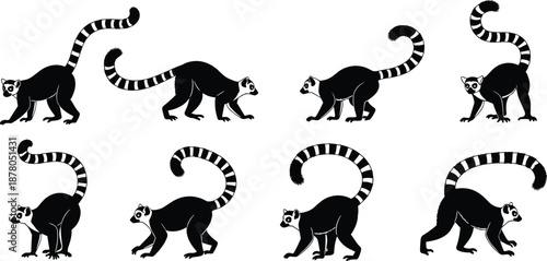 Ring-Tailed Lemur Silhouettes Set, Madagascar Wildlife Vector Icons, Tropical Animal Poses, Exotic Primate Figures, Nature and Safari Graphic Design Elements