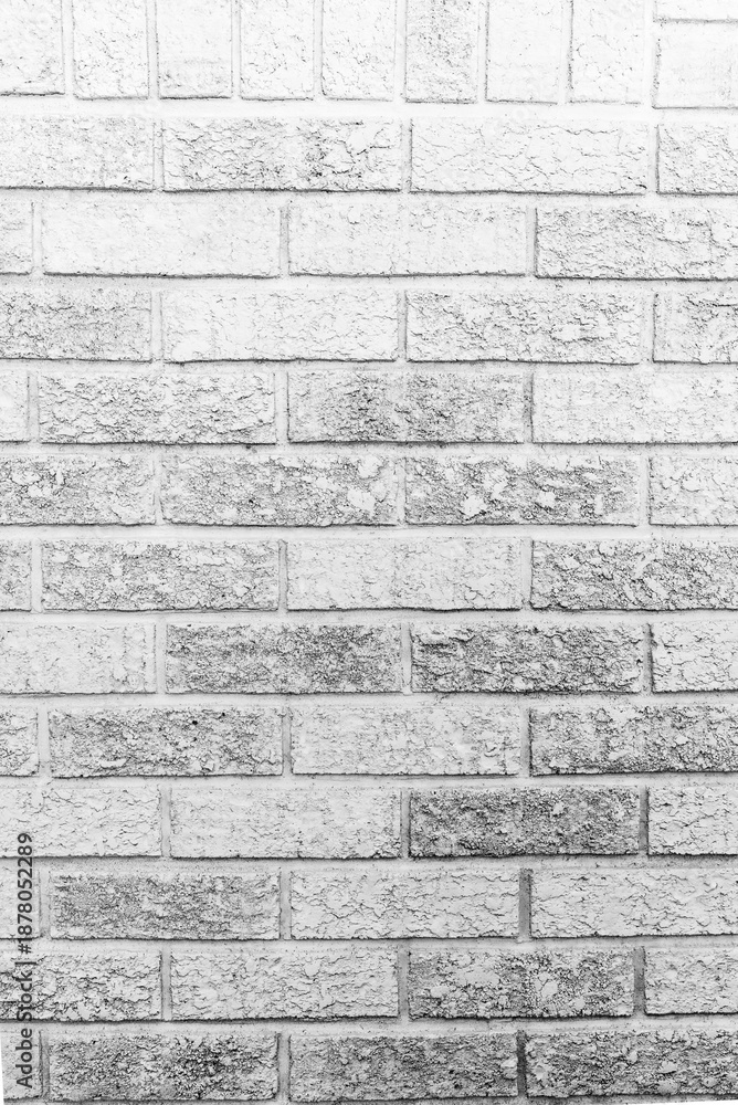 Fototapeta premium White Textured Brick Wall Background with Rough Plaster Surface