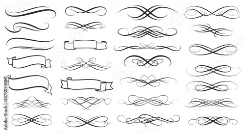 Elegant Calligraphic Swirls and Flourishes Vector Illustration on a White Background: A Collection of Swooshes and Underlines Perfect for Design Projects, Invitations, and Decorative Accents