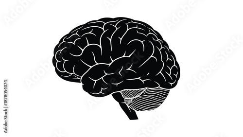 a black and white illustration of a human brain