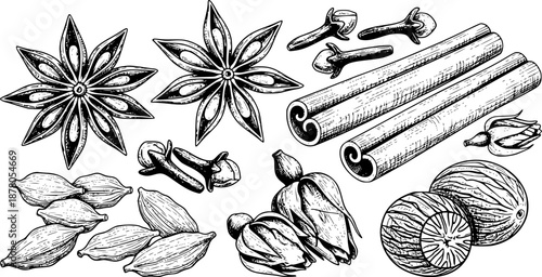 Hand Drawn Ramadan Spices Set Vector Illustration

