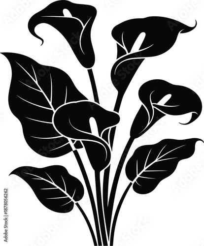 Elegant calla lily flower silhouette vector illustration with detailed blooming petals and lush tropical leaves
