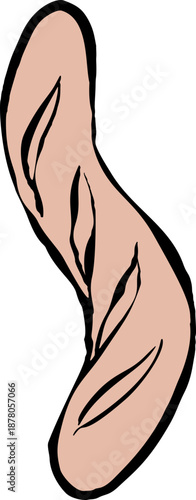 Baguette Bread Hand Drawn