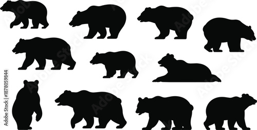 Black bear silhouette set showing multiple walking standing resting poses, wild forest mammal shapes, wildlife icon collection isolated on white background illustration designWeb