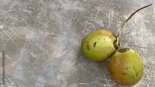 Two Young Coconuts Resting on a Cracked Concrete Surface