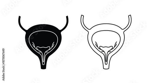 Female urinary bladder illustrations a solid black and a line art version