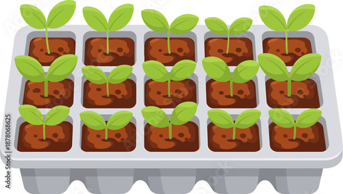Young seedlings growing in a tray, representing growth and new beginnings in a horticultural context