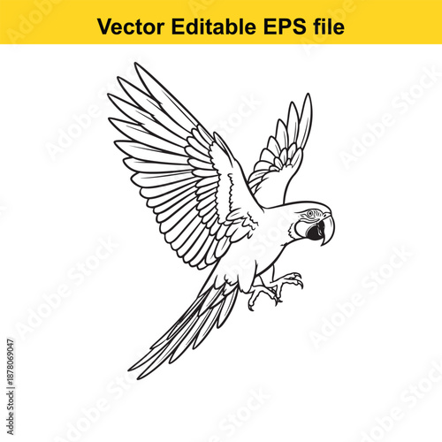 Flying macaw parrot drawing, exotic bird with spread wings hand drawn illustration