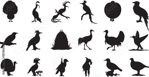 Collection of various bird silhouettes isolated on transparent background