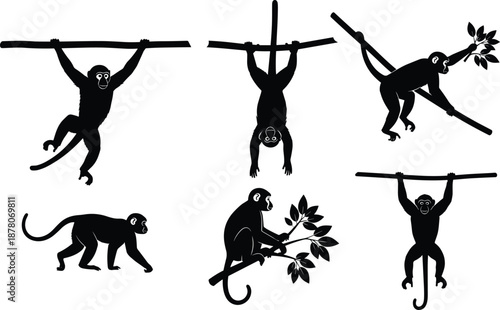 Monkey silhouettes, tree branches, climbing pose, hanging monkeys, jungle animals, black illustration, tail grip, nature motion, wildlife art, playful primates, forest scene