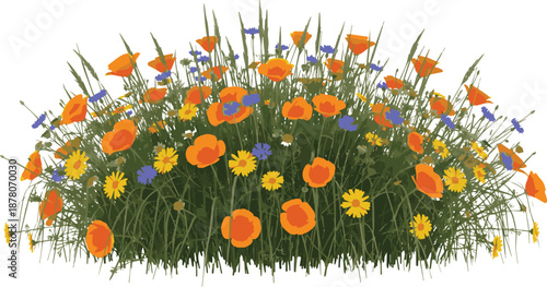 Vibrant Vector Illustration of a Colorful Wildflower Bush on a White Background