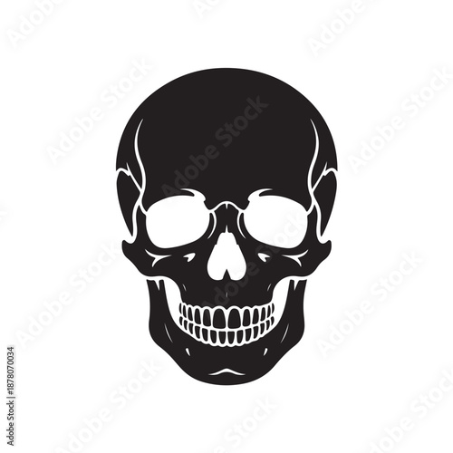 Skull illustration (2).eps