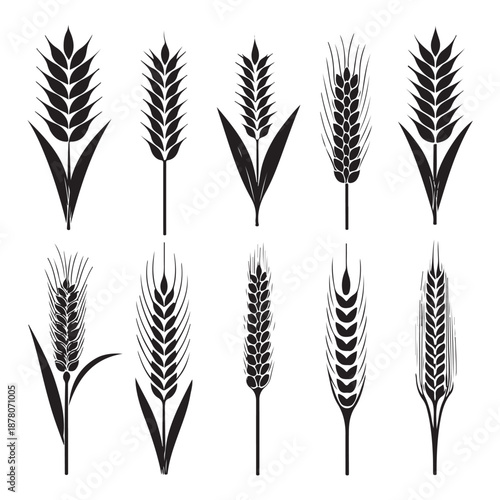 Wheat Ears Silhouette Set, A collection of seven black vector icons depicting various styles of wheat and rye ears with stalks 1 (3).eps