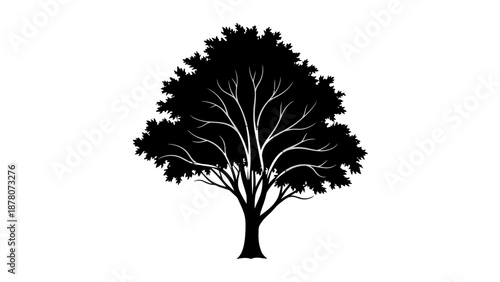 Black silhouette of a tree with branches and leaves.