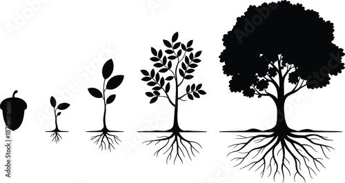 Cartoon tree growth stages icon set with acorn, seedling, sapling, and mature tree including root development.