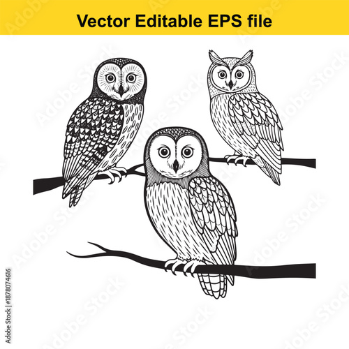  desert landscape with winding road and mountains vector illustration