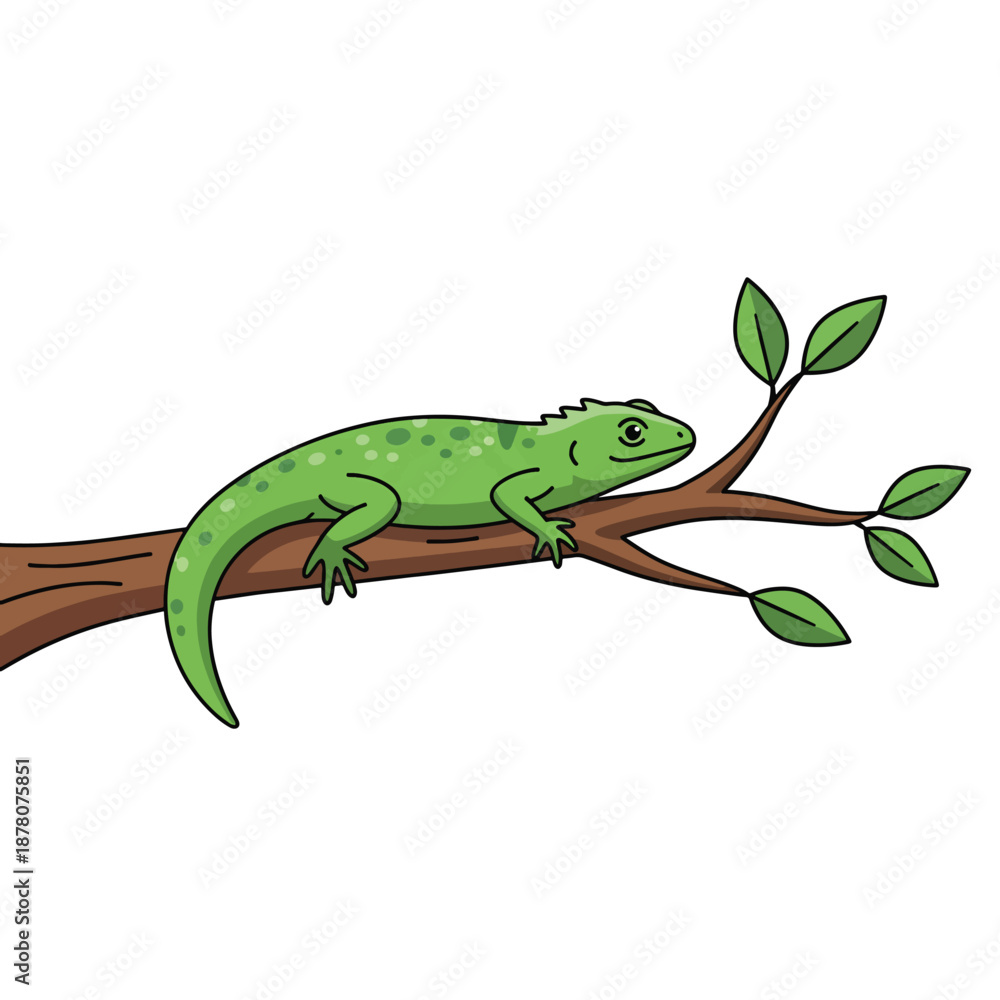 Fototapeta premium Green Lizard on Tree Branch