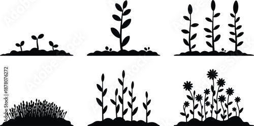 Plant growth silhouette collection showing seedling, sprouting plants, mature stems, grass, and flowering stages for gardening, agriculture concepts, nature design, and botanical illustration