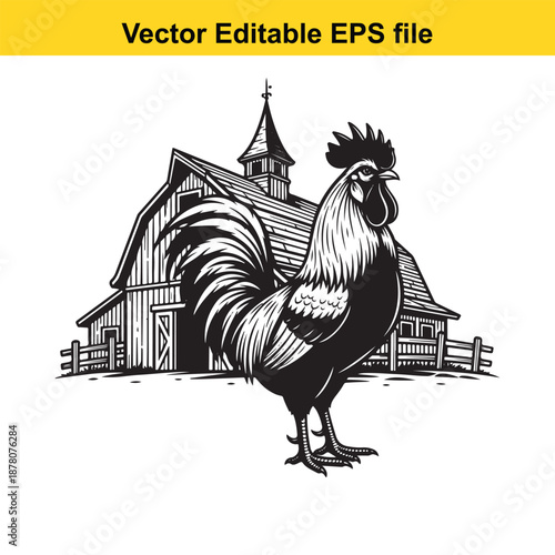  black and white rooster standing in front of a rustic barn