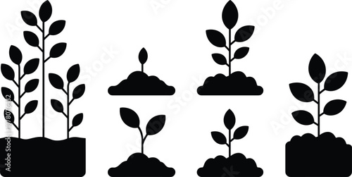 Plant growth silhouette stages illustration showing seedling, sprout, young plant, and mature vegetation development for gardening, agriculture education, botanical design, and nature concepts