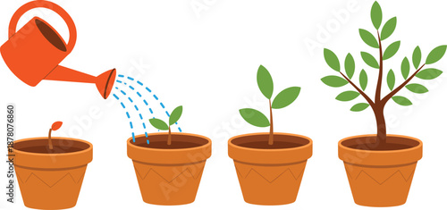 Plant growth stages illustration showing watering can, potted seedling, young plant, and mature tree for gardening, houseplant care, and agriculture education