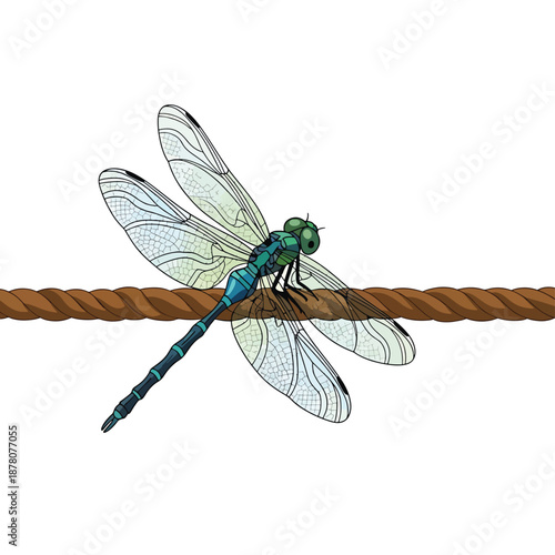 Dragonfly on Twisted Rope