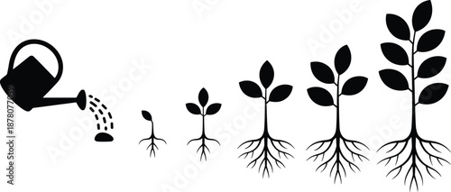 Plant growth stages silhouette illustration showing watering, seed germination, root development, seedling growth, and mature plant lifecycle for agriculture and gardening education
