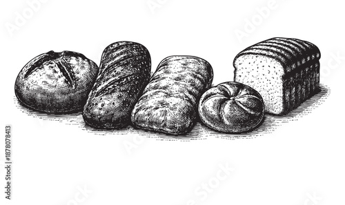 A variety of freshly baked breads including round loafs, baguettes, and sliced bread arranged on white, depicted with fine woodcut style lines.