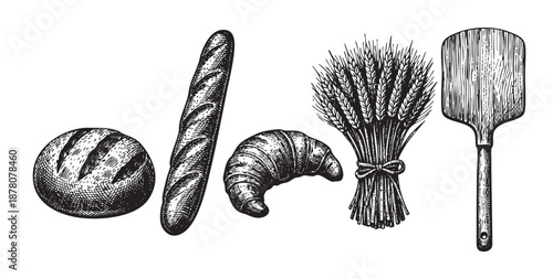 An assortment of bread types including round bread, baguette, croissant, wheat and a paddle, all rendered in hand drawn style.