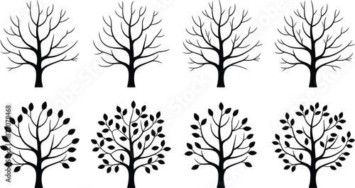 Tree growth silhouette set showing bare branches to leafy mature trees, seasonal development stages for nature design, landscaping concepts, botanical illustration, and ecology projects