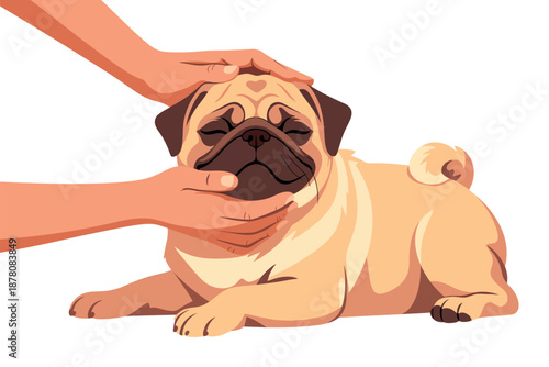 A person gently petting a cute pug dog on the head