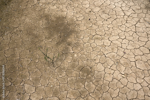 Fotografie Dry, cracked earth texture representing drought, water shortage, and desertifica