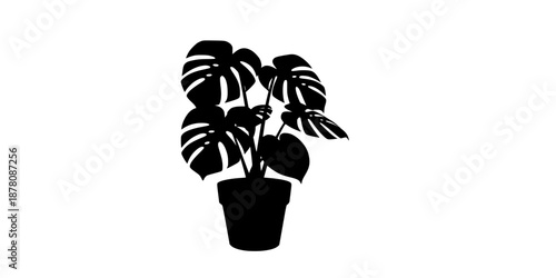 A silhouette of a large monstera plant in a simple ceramic pot with drainage holes.