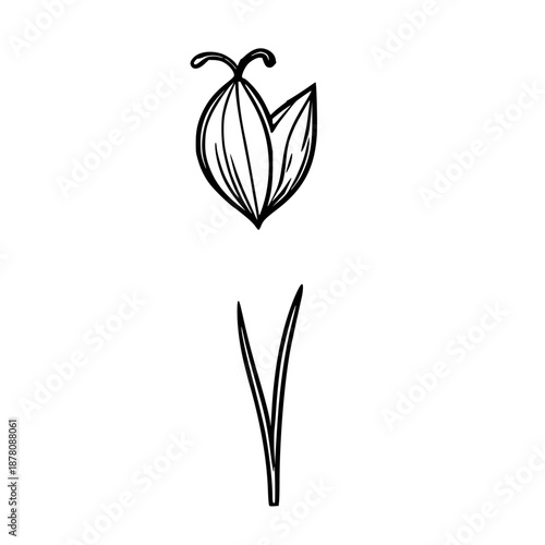 Minimalist snowdrop icon with drooping white petals, vector floral illustration for logos, nature gifts and seasonal greeting designs