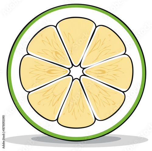 Vibrant Lime Fruit Slice with Green Peel and Juicy Segments Vector Illustration