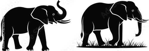 Two black elephant silhouettes with tusks stand majestically on a transparent background, one with its trunk raised