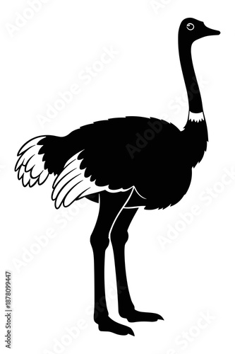 Striking black and white silhouette illustration captures the tall, flightless profile of a majestic ostrich bird standing upright.