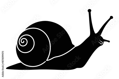 Striking black silhouette graphic of a garden snail showcasing its distinctive coiled shell and prominent eyestalks, perfectly illustrating terrestrial gastropod anatomy.