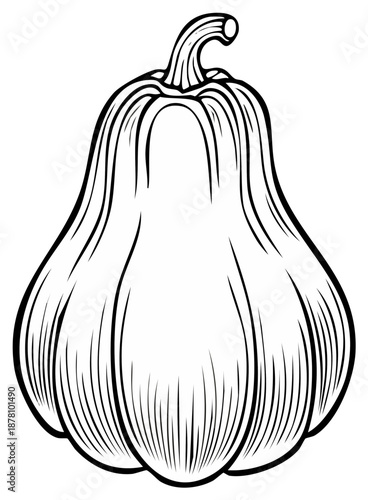 Decorative Stylized Black and White Gourd Line Art Drawing for Autumn Harvest and Seasonal Decor